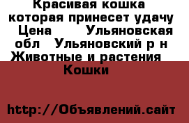 Красивая кошка, которая принесет удачу › Цена ­ 1 - Ульяновская обл., Ульяновский р-н Животные и растения » Кошки   